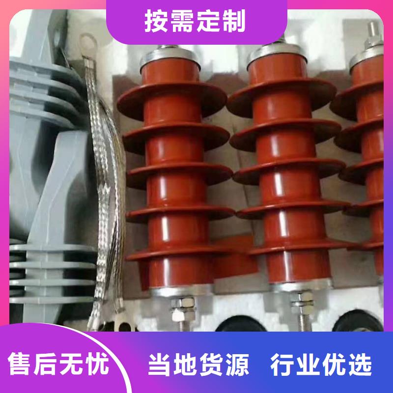 电机型氧化锌避雷器HY1.5WD-12/26生产厂家质检严格放心品质