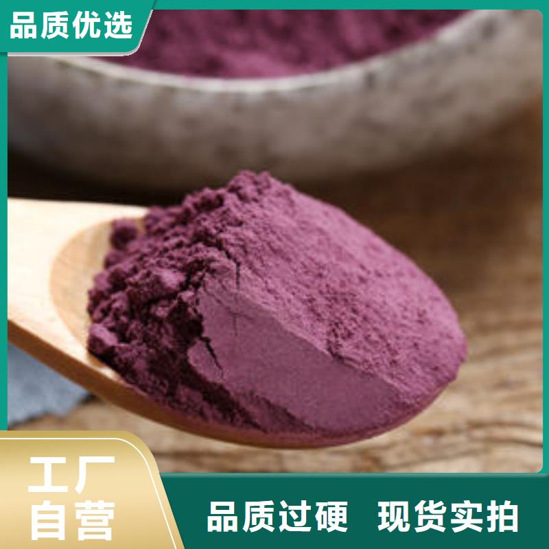 泰州紫薯苗（绫紫）供应
