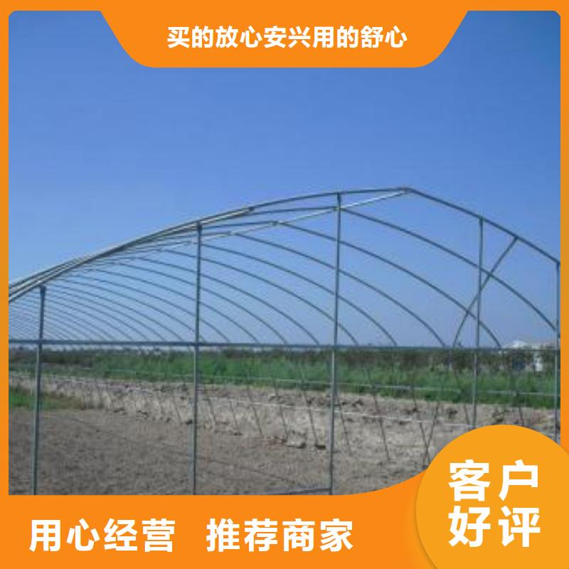 广西省钦州市钦北区草药大棚管生产厂家无需焊接，主装方便