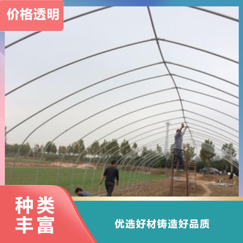 云南省曲靖麒麟草莓定尺大棚管生产2023