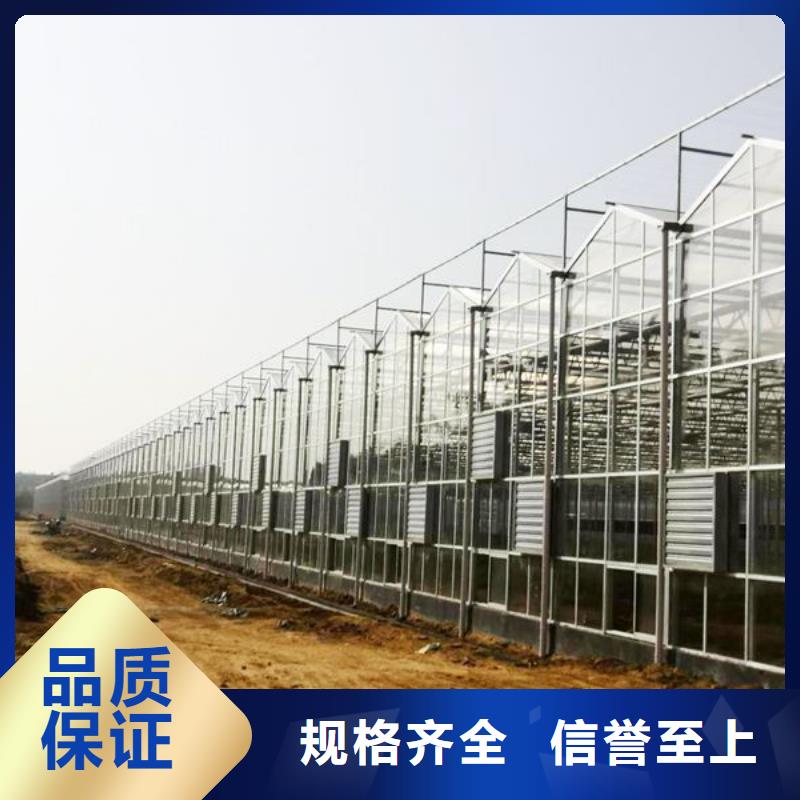 肃州玻璃温室全国发货2023本地经销商