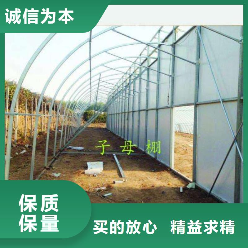 蔬菜大棚管优质生产厂家当地制造商