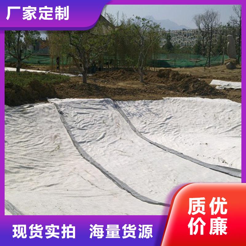忻州钠基膨润土防水毯免费寄样提供检测