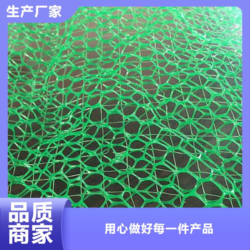 淄博边坡防护三维植被网多少钱一平方？