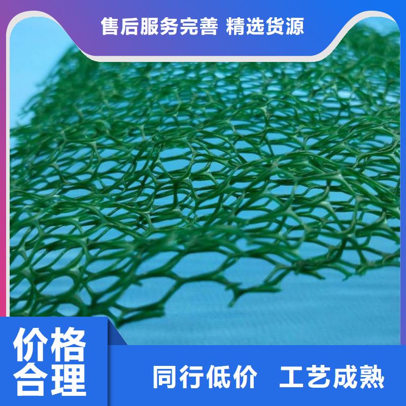 边坡防护三维植被网生产厂家哪家好颜色尺寸款式定制