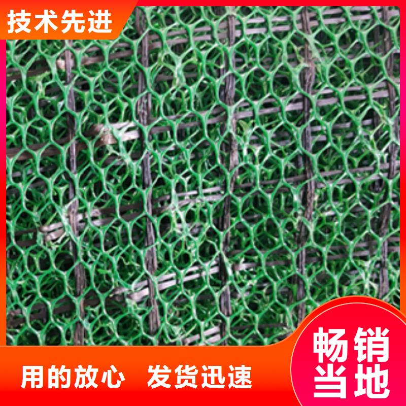 边坡防护三维植被网本年度最新报价专业生产制造厂