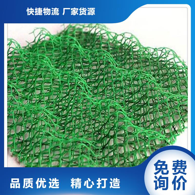 连云港塑料三维植被网厂家直供
