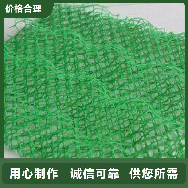 甘肃边坡防护三维植被网实力厂家/现货供应