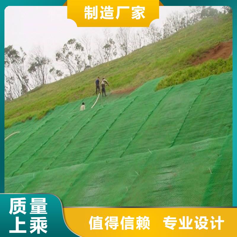 晋城边坡防护三维植被网多规格可定制