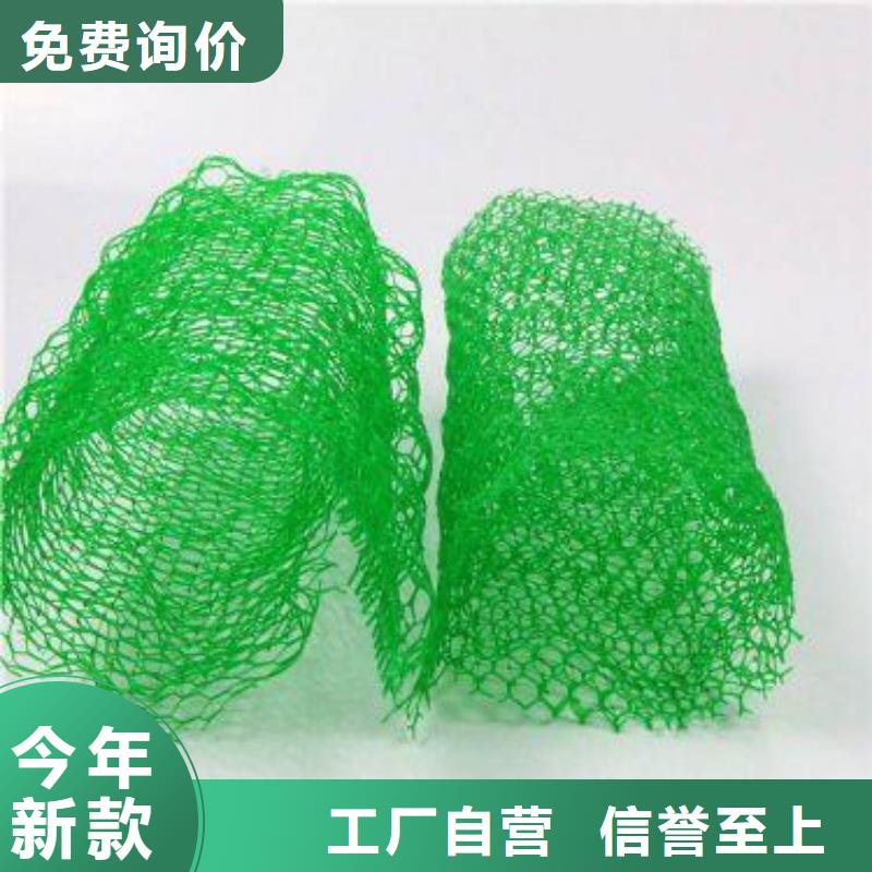 漳州塑料三维植被网免费寄样/提供检测