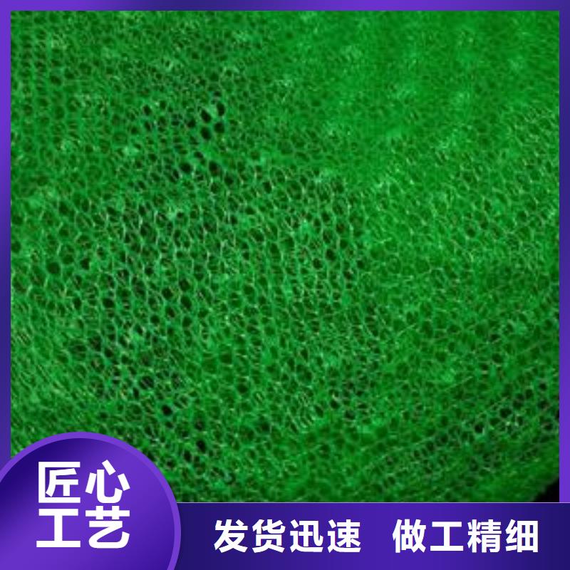 2021广州三维植被网垫施工方法