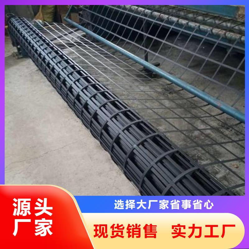上海钢塑格栅pp焊接格栅路基加固矿洞防护