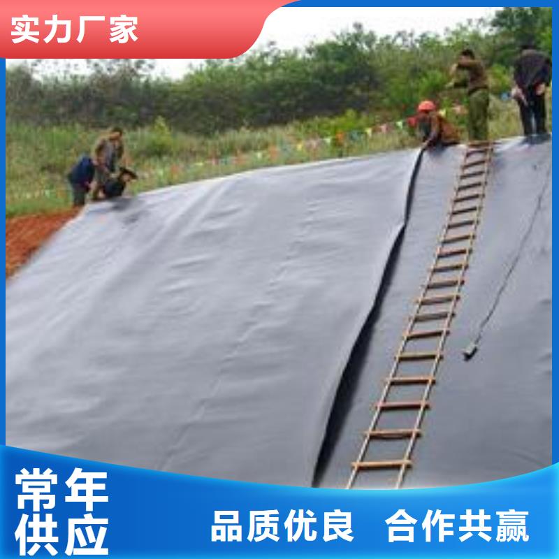安庆公路基础加固用防渗膜