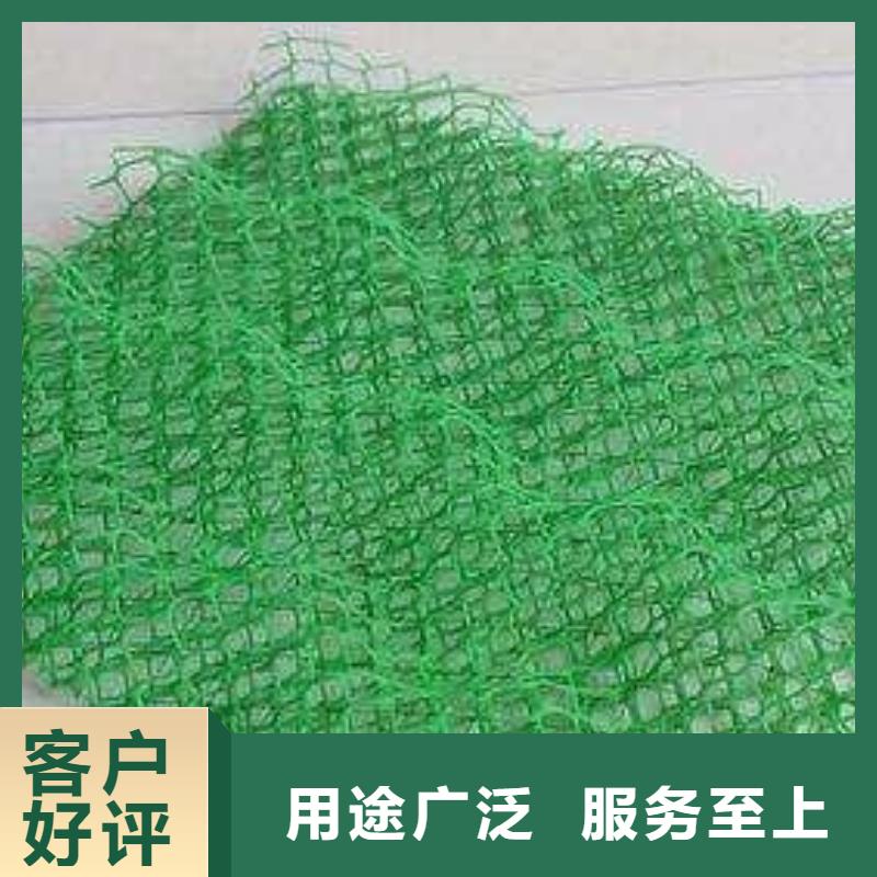 安庆三维植被网订单生产