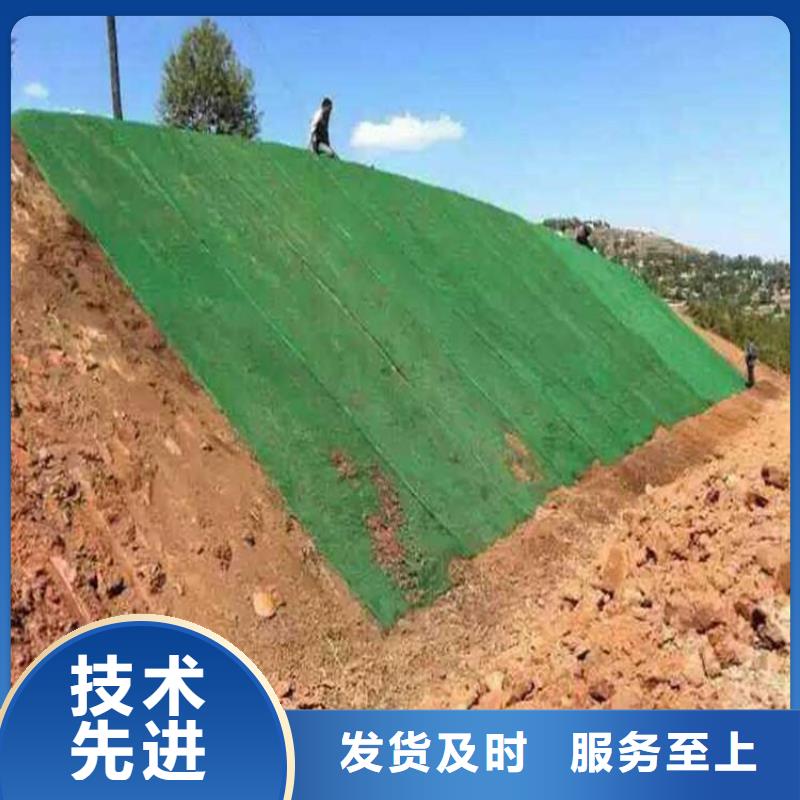 滁州市政工程边坡防护用三维植被网