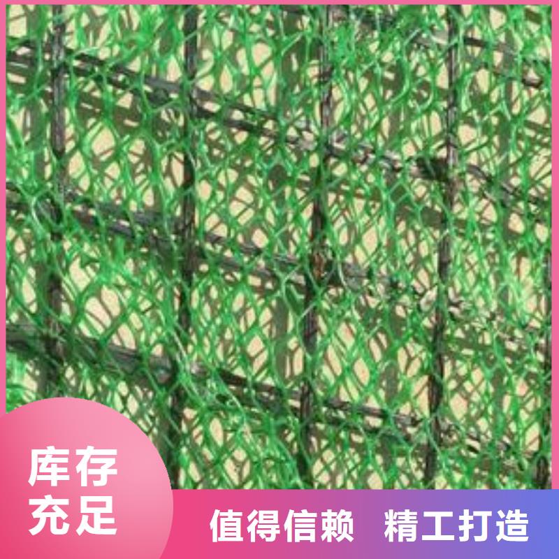 延安三维土工网垫三维植被网厂家植草护坡网