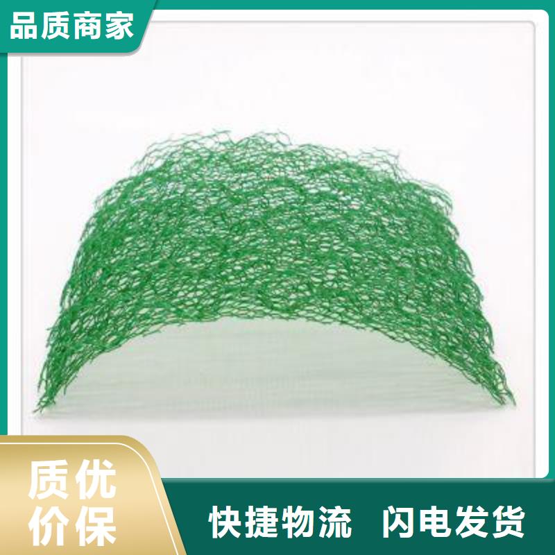 亳州绿色三维网生产三维植被网生产畅销本地