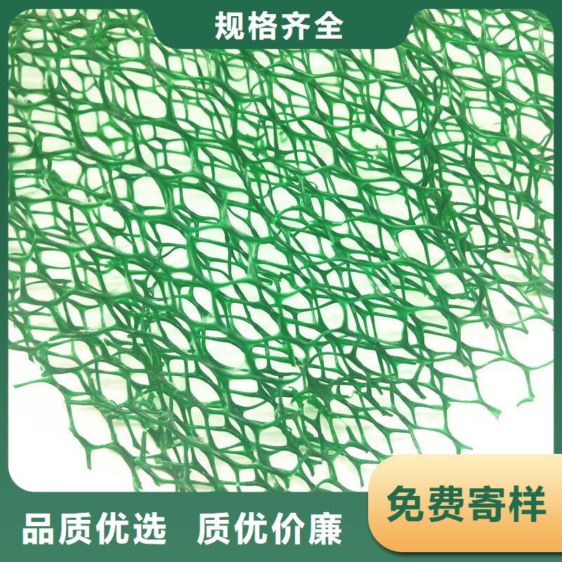 延安三维土工网垫-三维植被网价格；