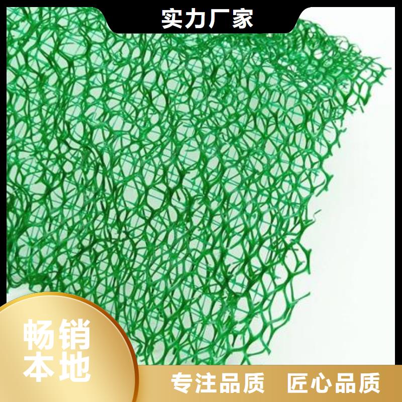 广安三维植被网防止水土流失
