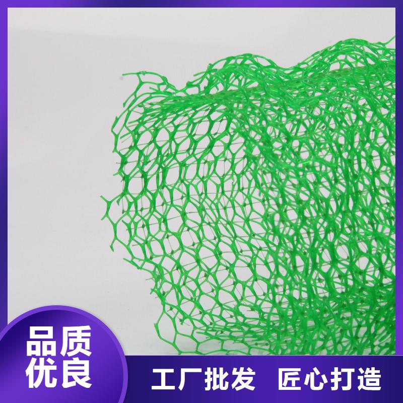 绿色三维网生产三维植被网生产源头把关放心选购