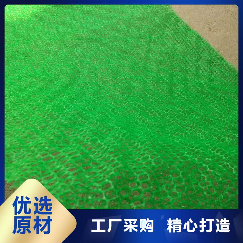 安庆三维植被网加筋土工网垫EM5植被网护坡加筋