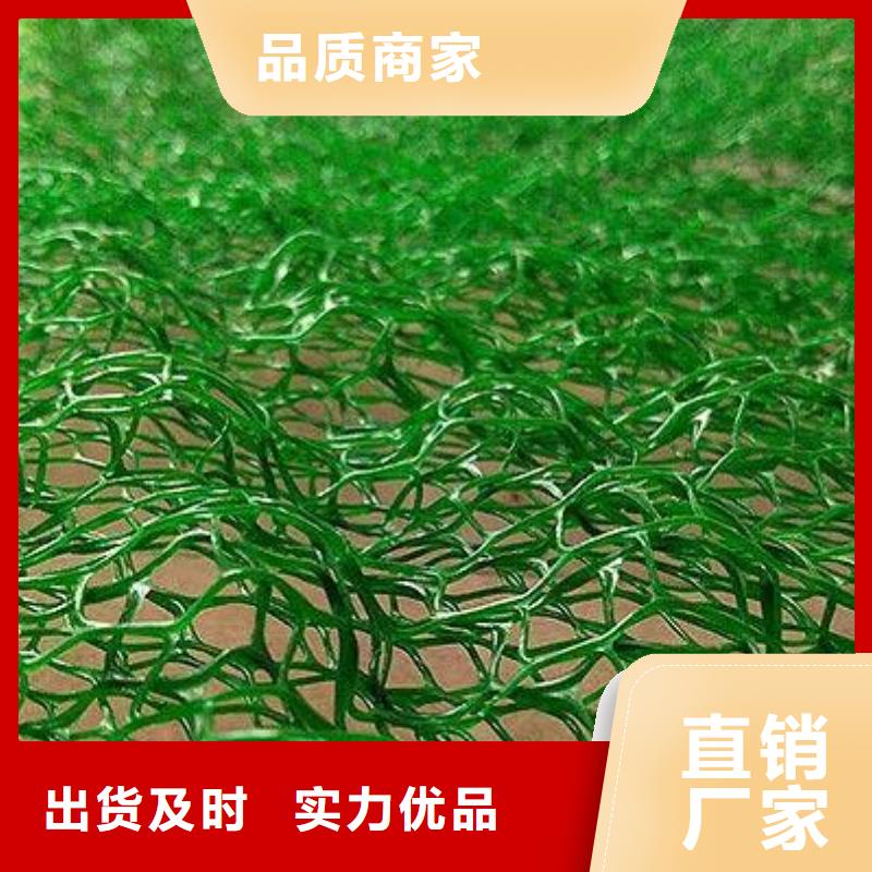 绿色三维网生产三维植被网生产附近货源