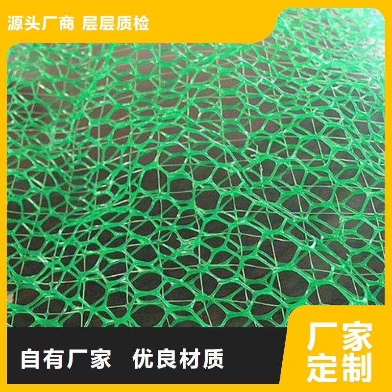 三维植被网加筋土工网垫EM4植被网护坡加筋质检合格出厂