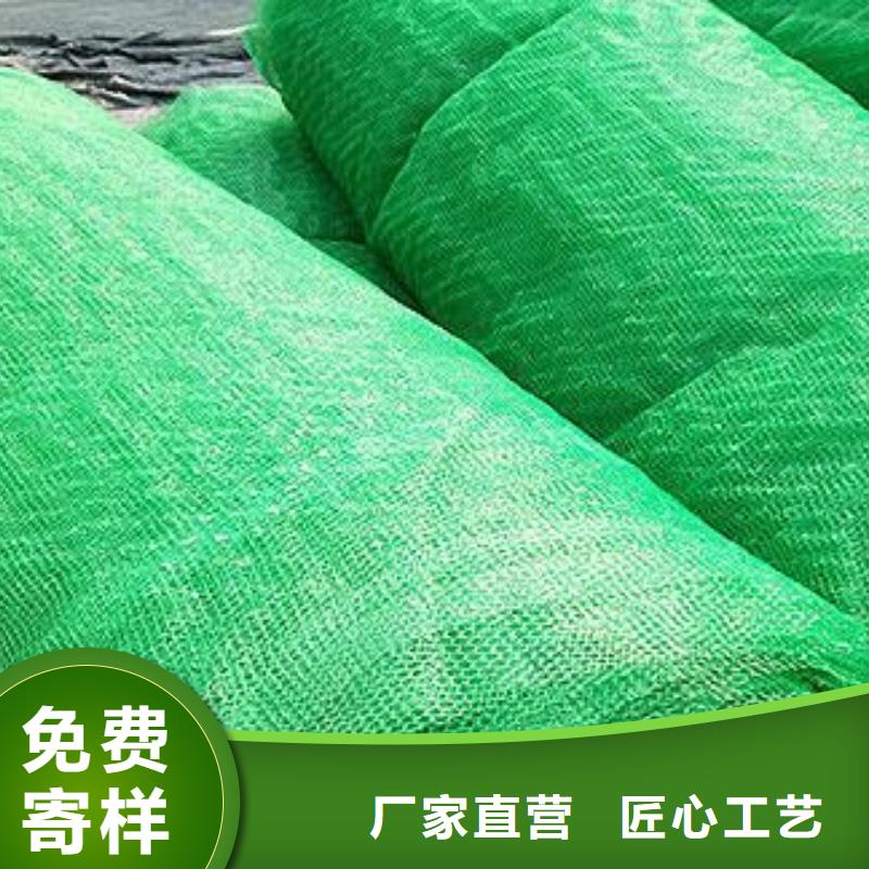 三维网垫厂家-三维植被网生产厂家工艺成熟