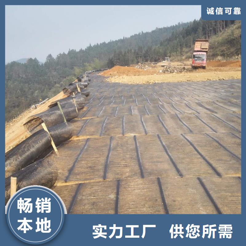 乐东县钢塑土工格栅规格-免费寄样板钢塑双向复合土工格栅厂家哪个好价格实在