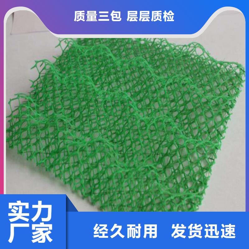 琼中县新型三维土工网垫规格性能参数