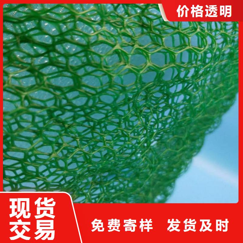 南京边坡防护三维植被网——集团公司-2021新行情