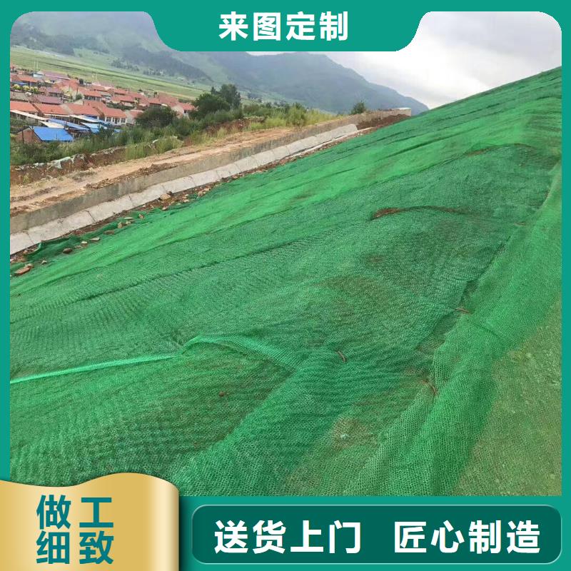 青岛三维植被网|三维网垫植草护坡|三维土工网垫厂家哪家好？