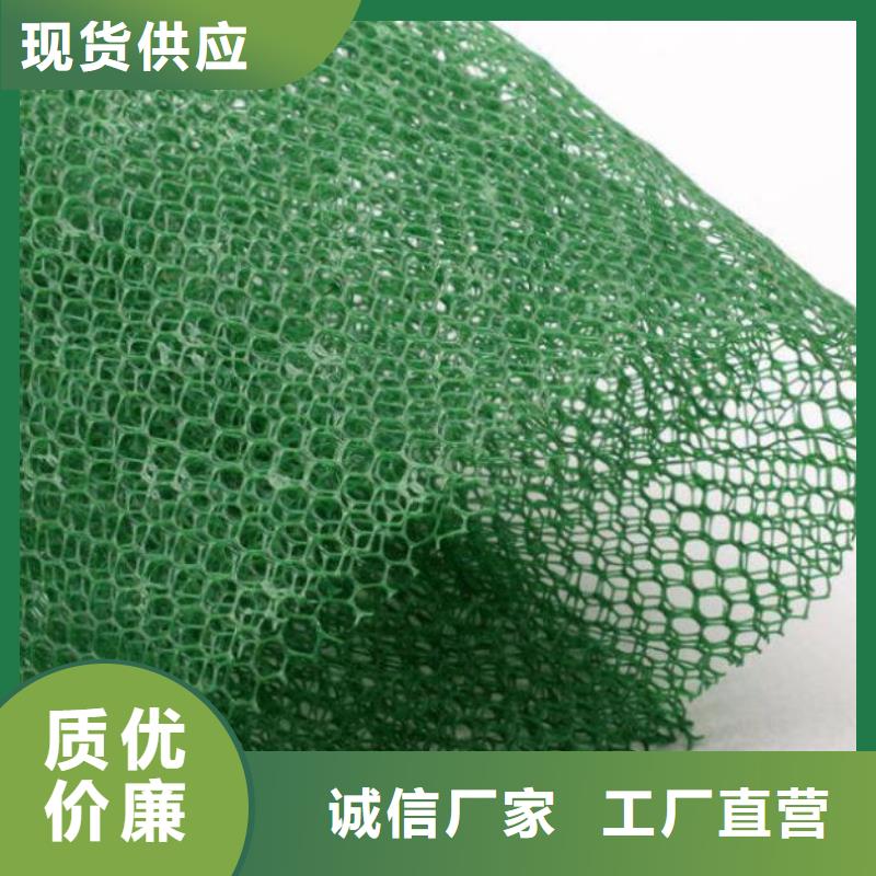 护坡种草三维植被网生产厂家收费标准专业生产设备