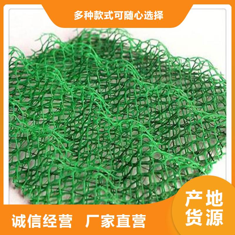 ​护坡种草三维植被网生产厂家收费标准甄选好厂家