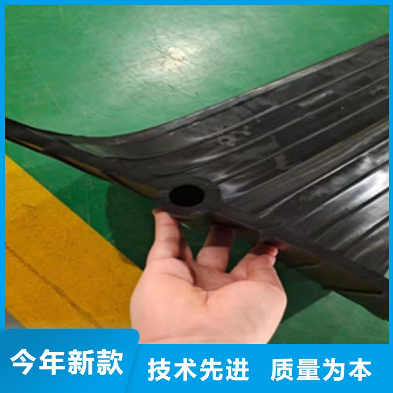 北京东城背贴式橡胶止水带抗撕裂性-欢迎咨询