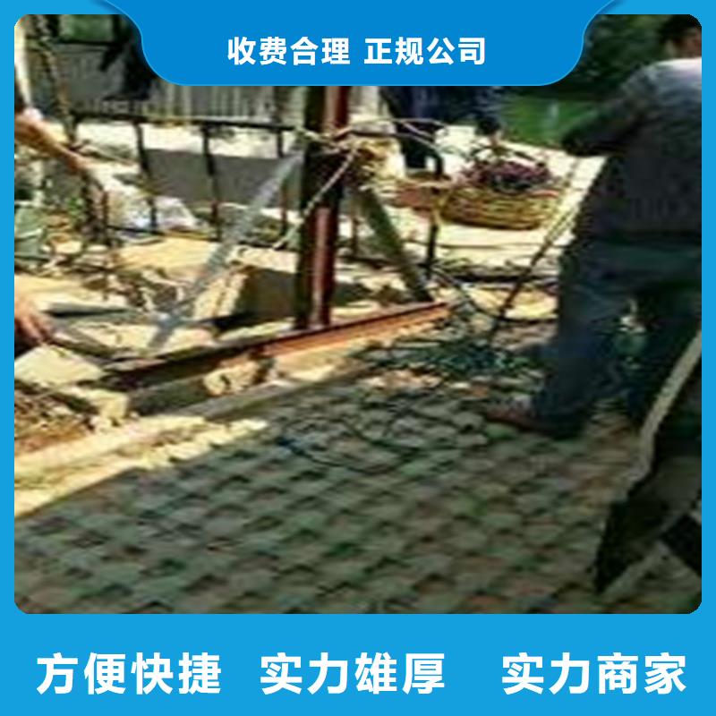 沉管敷设施工队10年经验2024更新中本地制造商