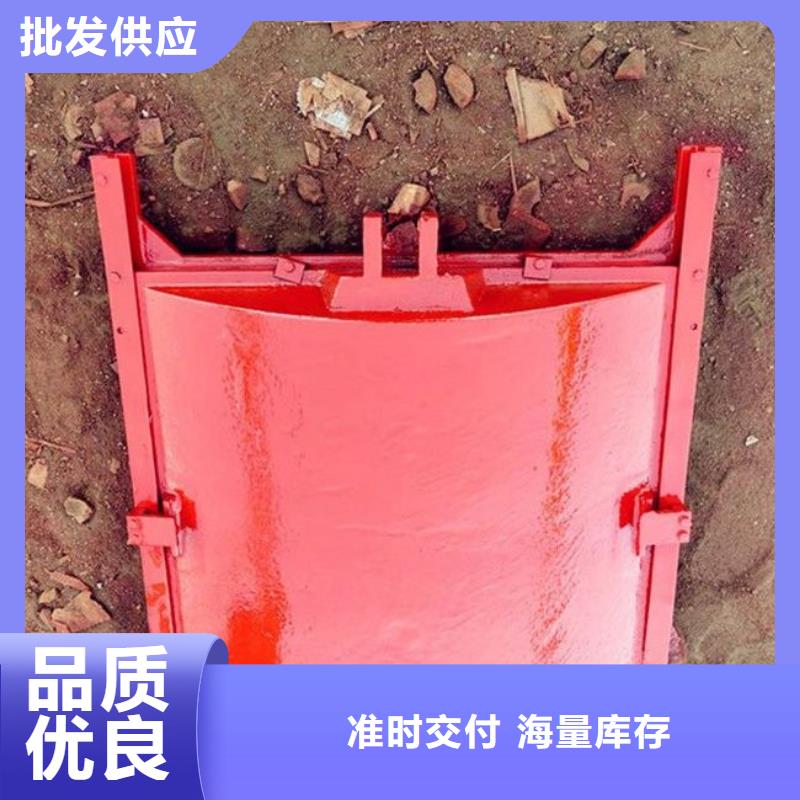 台湾铸铁闸门标准按需定制安装简单