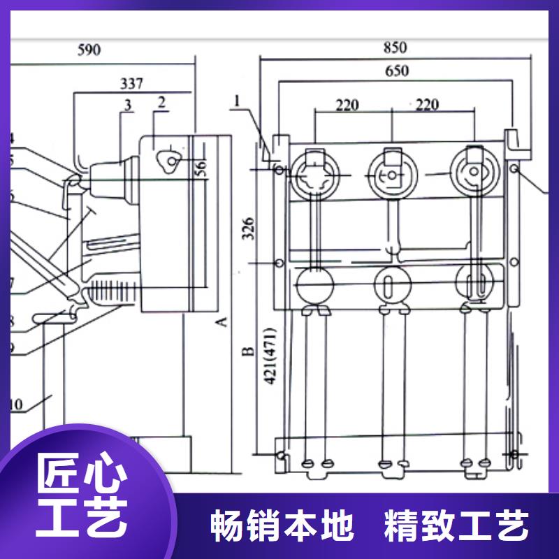 FZN21-12D/125-31.5高压负荷开关严选材质