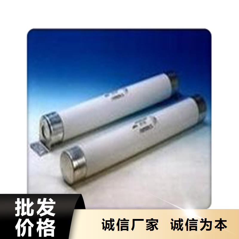 XRNT1-10/100A高压PT熔管一站式采购商家