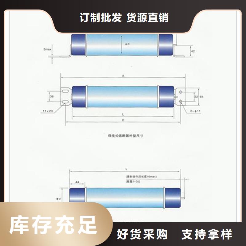 RXWO-35/0.5A高压PT熔管实体厂家大量现货