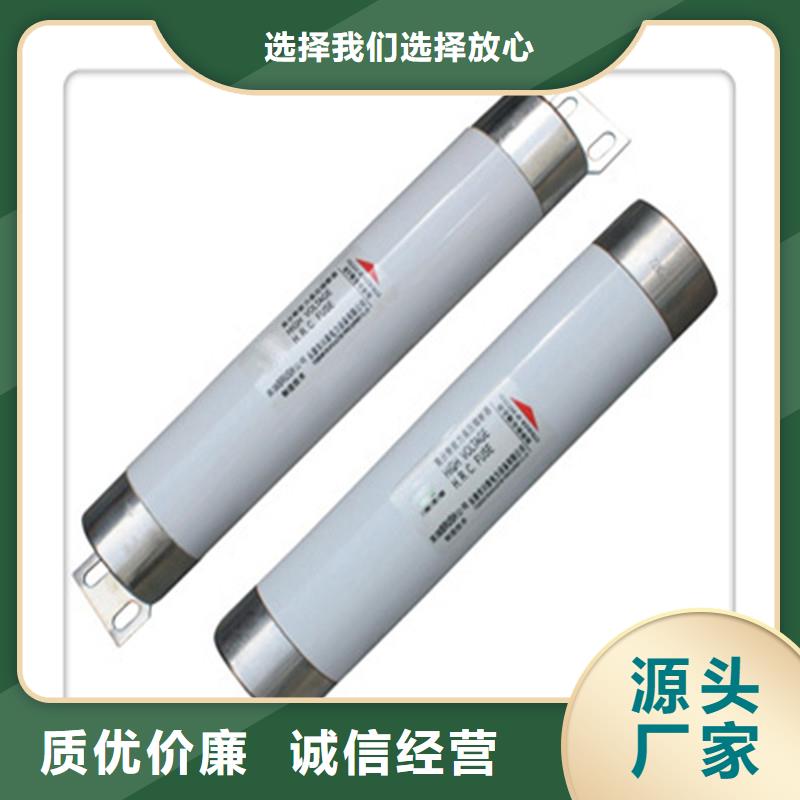 XRNM-3.6/50A高压PT熔管生产型