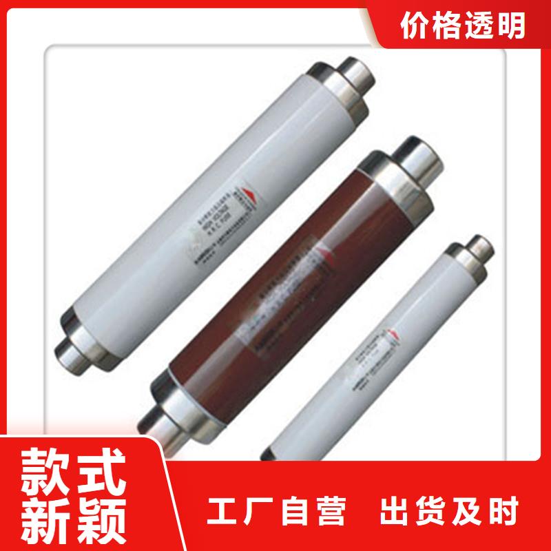 WFNHO-10/160A高压PT熔管当地生产商