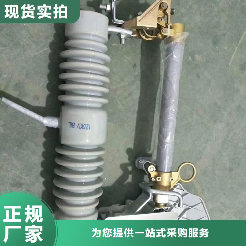 南宁HRW12-10/200A跌落式熔断器樊高
