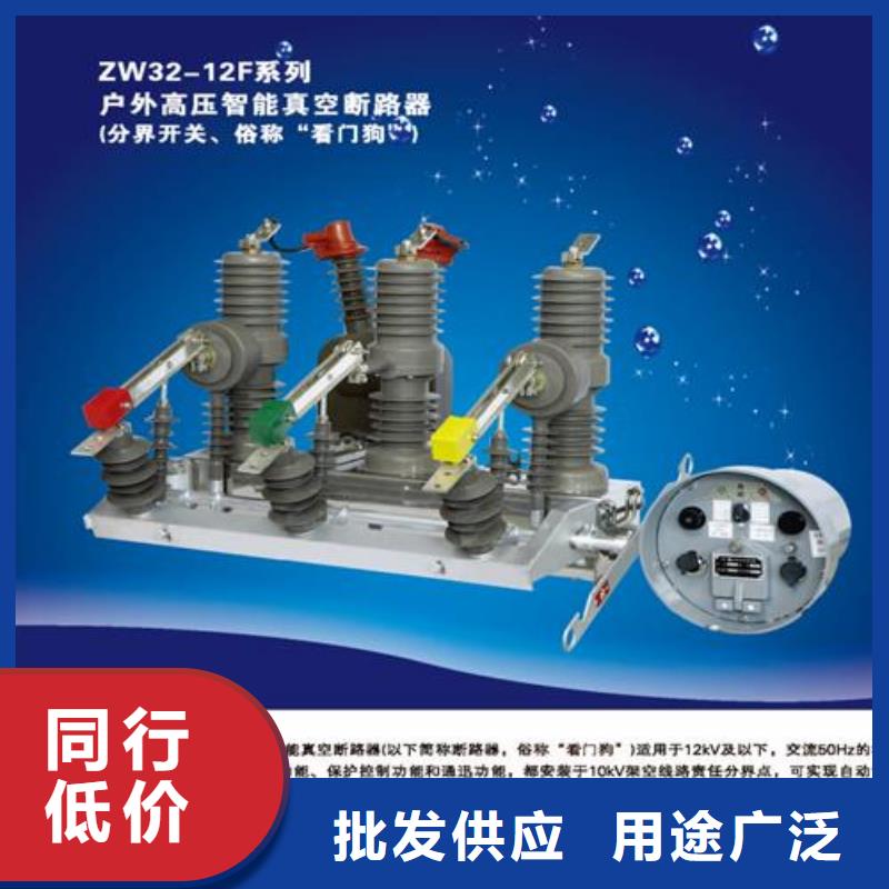 LW8-40.5/1250-25铁壳常规六氟化硫断路器正规厂家