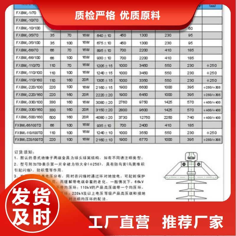 ZN-10/800高压绝缘子樊高电气同城厂家