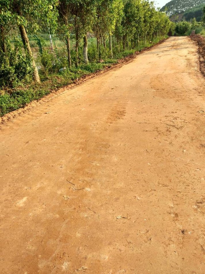 细粒土土壤固化剂梧州公路边坡生态修复方案精华