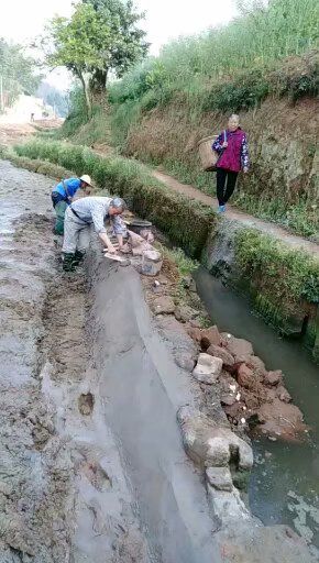 污泥资源化处置汉中边坡生态治理组图