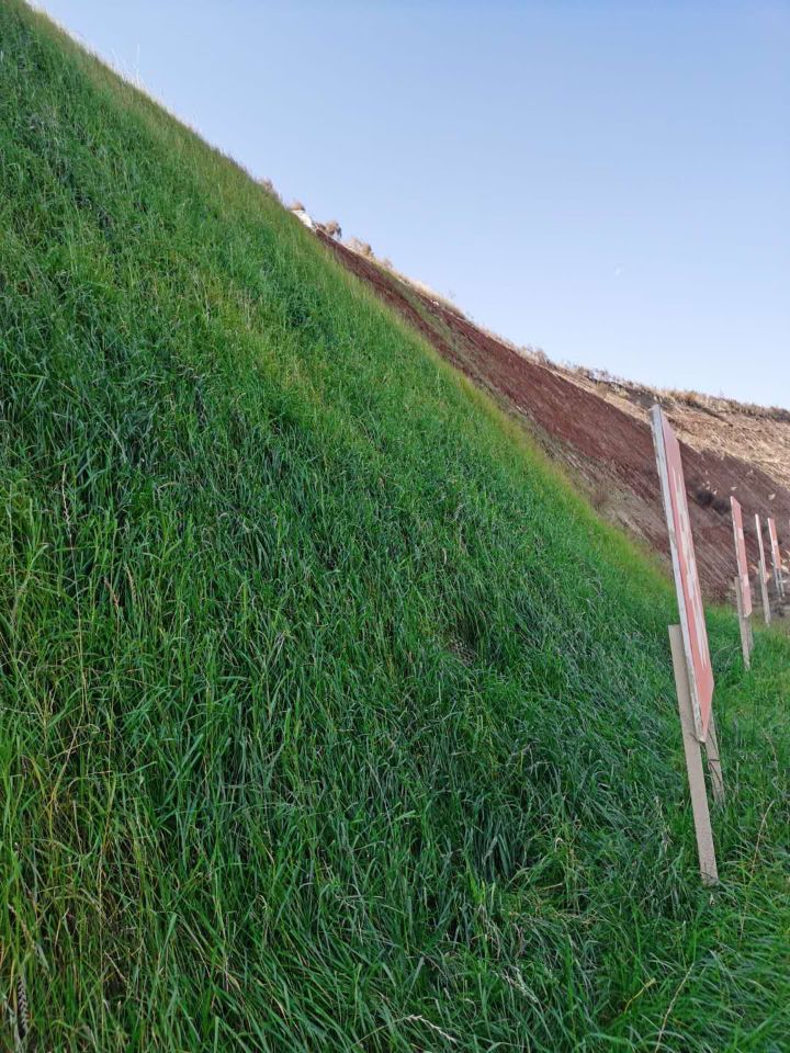 砂性土土壤固化剂吕梁边坡生态治理图