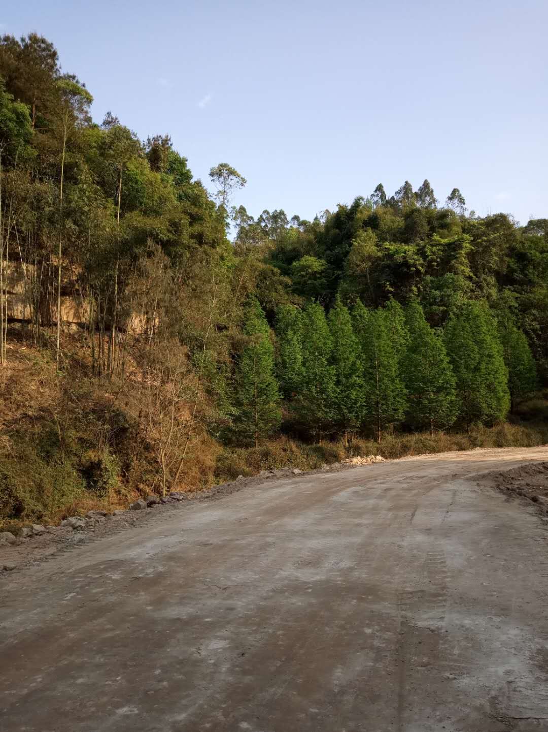 桂林淤泥改性固化剂桂林干线公路固化土