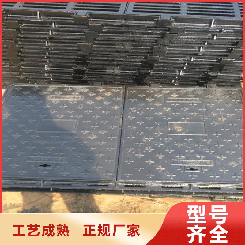 建水县型号全球墨铸铁篦子国家标准附近生产商